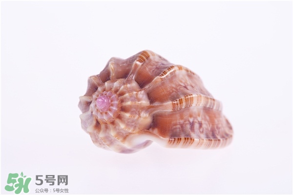 海螺的尾部能吃嗎？海螺的尾巴可以吃嗎