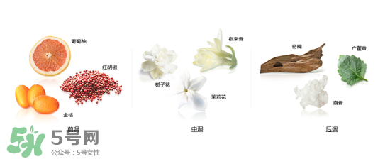 郎朗香水是什么牌子？郎朗香水是什么檔次？
