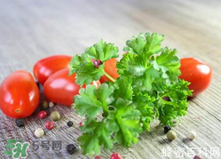 四月份可以種香菜嗎？四月份還能種香萊嗎？