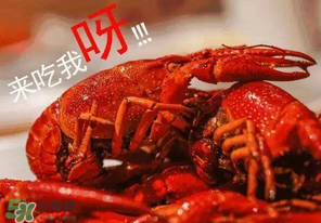煮熟的小龍蝦隔夜能吃嗎？煮熟的小龍蝦能放多久？