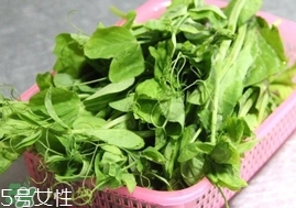 豌豆苗怎么做好吃？豌豆苗的做法