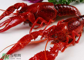 龍蝦發(fā)苦怎么回事？龍蝦發(fā)苦能吃嗎？