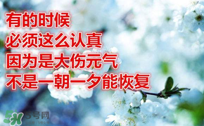 九毒日是哪幾天？2017年九毒日是哪幾天？