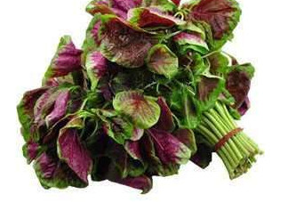 野莧菜能吃嗎？野莧菜圖片