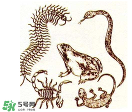 五毒日是哪幾天？2017年五毒日是哪幾天？