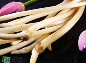 藕帶什么時(shí)候有？藕帶什么時(shí)候上市