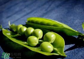 豌豆隔夜能吃嗎？豌豆可以隔夜吃嗎？