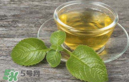 薄荷泡水喝有什么好處？薄荷葉泡水的功效