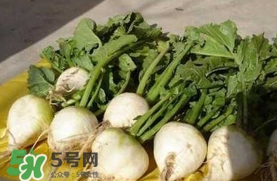 芥菜疙瘩孕婦能吃嗎？孕婦可以吃芥菜疙瘩嗎