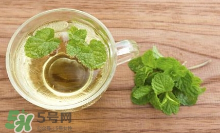 薄荷葉能生吃嗎？薄荷葉可以生吃嗎