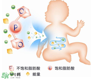 kabrita佳貝艾特羊奶粉怎么樣？kabrita佳貝艾特羊奶粉好不好？