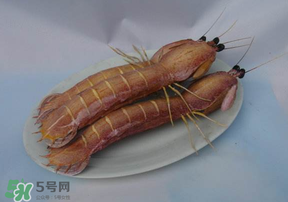 皮皮蝦死了還能吃嗎？皮皮蝦死了多久還能吃？