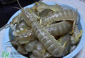 皮皮蝦死的怎么清洗？死的皮皮蝦怎么清洗？