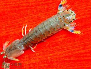 皮皮蝦煮多長(zhǎng)時(shí)間？水煮皮皮蝦多長(zhǎng)時(shí)間？