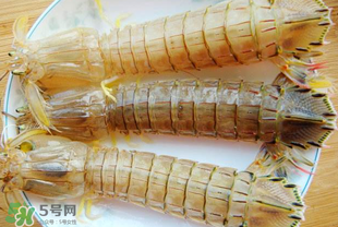 蝦爬子多少錢一斤？2017蝦爬子價格
