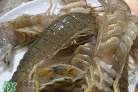 皮皮蝦可以放冰箱嗎？皮皮蝦能放冰箱保存嗎？