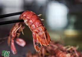 熟皮皮蝦隔夜還能吃嗎？煮熟的皮皮蝦隔夜能吃嗎？