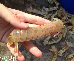 ?皮皮蝦發(fā)綠能吃嗎？?皮皮蝦變綠了還能吃嗎？
