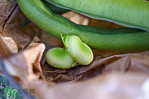 蠶豆可以放冰箱嗎？新鮮蠶豆可以放冰箱嗎？