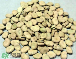 蠶豆長蟲還能吃嗎？蠶豆怎么保存不長蟲？
