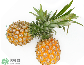 皮皮蝦和菠蘿能一起吃嗎？吃完皮皮蝦能吃菠蘿嗎？