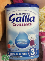 gallia佳利雅奶粉怎么沖？gallia佳利雅奶粉沖調(diào)方法？