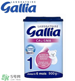 gallia佳利雅奶粉怎么沖？gallia佳利雅奶粉沖調(diào)方法？