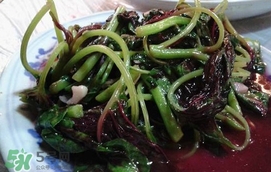 汗菜是發(fā)物嗎？汗菜是不是發(fā)物嗎