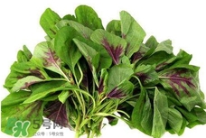莧菜與什么相克？莧菜與什么食物相克