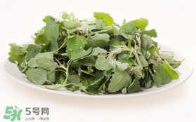 胃酸過多吃灰灰菜有好處嗎？胃酸過多能吃灰灰菜嗎