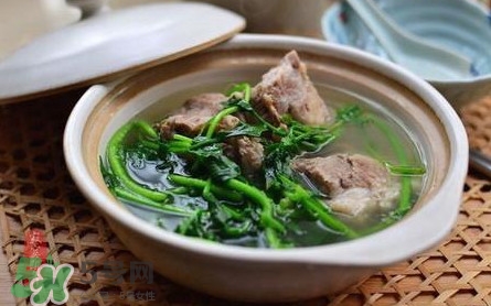 孕婦能吃西洋菜嗎？孕婦可以吃西洋菜嗎