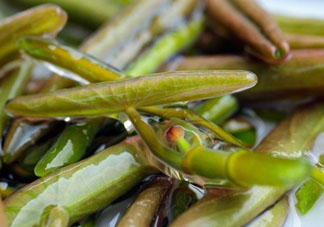 莼菜怎么做？莼菜怎么做好吃？