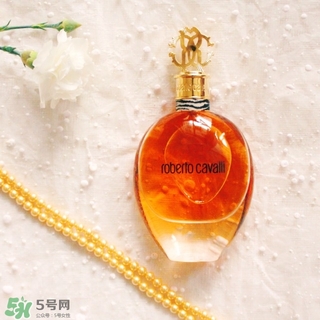roberto cavalli是什么牌子？羅伯托卡沃利是幾線什么檔次？