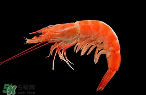 基圍蝦不能和什么一起吃？基圍蝦和什么不能一起吃？