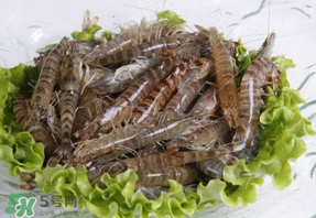 基圍蝦不能和什么一起吃？基圍蝦和什么不能一起吃？