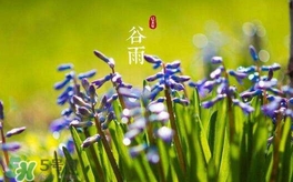 谷雨養(yǎng)生吃什么？谷雨養(yǎng)生常識(shí)