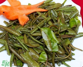 莼菜是什么菜？莼菜是荷葉嗎？