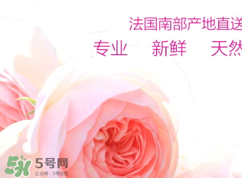 rossi rossa面膜怎么樣？rossi rossa珞珞莊園面膜好不好？