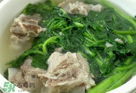 西洋菜是什么菜？西洋菜是什么樣的