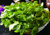 西洋菜怎么摘洗？西洋菜怎么洗才干凈
