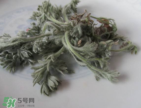 白蒿能治黃疸嗎？白蒿水可以治黃疸嗎？
