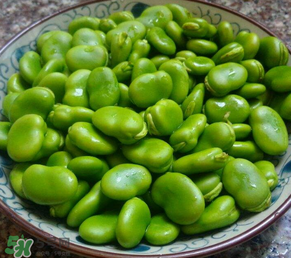 蠶豆多少錢一斤？蠶豆多少錢一斤2017？