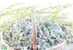 白蒿要焯水嗎？白蒿要不要焯水？