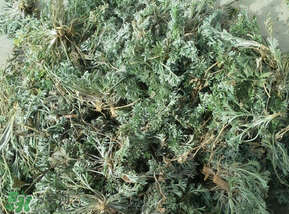 白蒿多少錢一斤？白蒿的價格