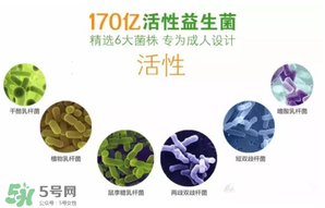 益生菌哪個牌子好？哪個牌子的益生菌好？