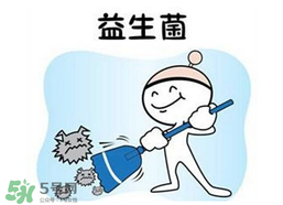 益生菌哪個牌子好？哪個牌子的益生菌好？