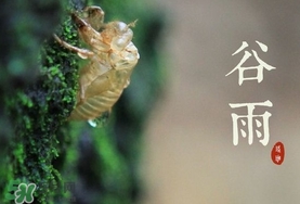 谷雨養(yǎng)生吃什么？谷雨養(yǎng)生常識(shí)