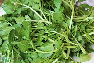 西洋菜是什么菜？西洋菜是什么樣的