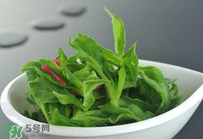 冰草可以放冰箱嗎？冰草能用冰塊保存嗎？