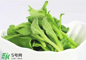 冰草多少錢一斤？非洲冰草多少錢一斤？